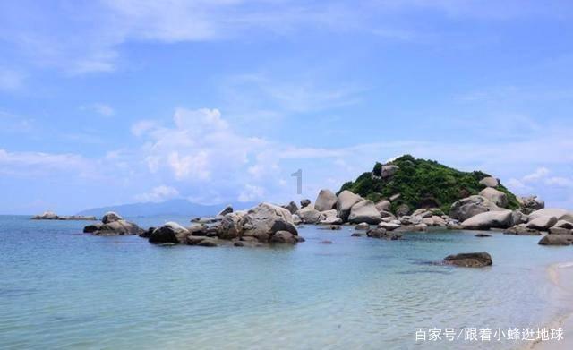 漂亮鹦鹉救援